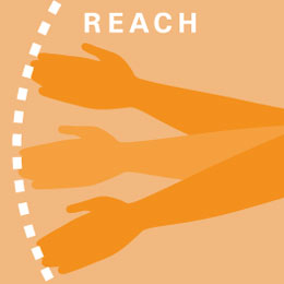 four pillars of ergonomics, reach
