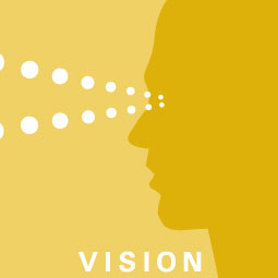 four pillars of ergonomics, vision